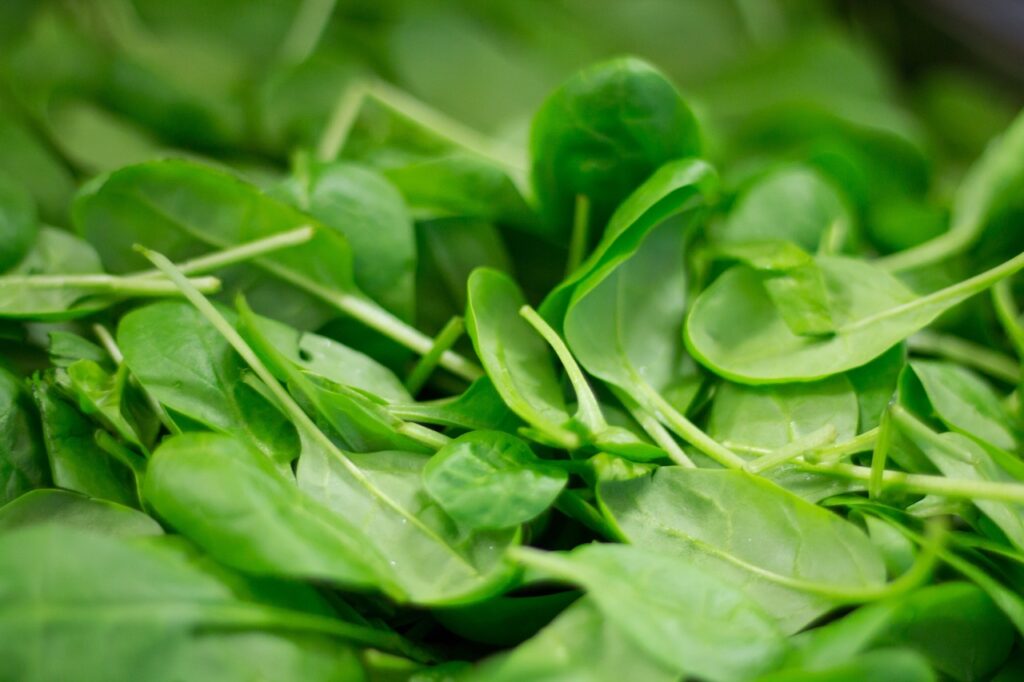 Kids’ nutrition tips in action